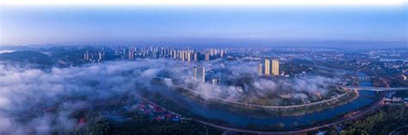 未来政务：地方门户网站如何引领数字化转型